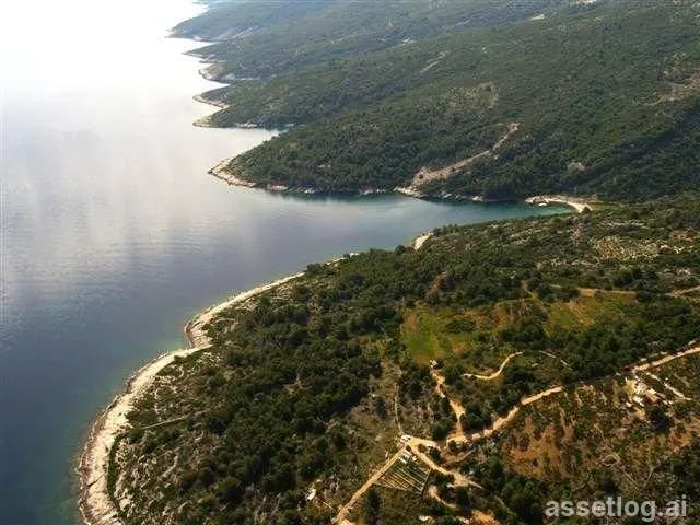 Asset photo 1