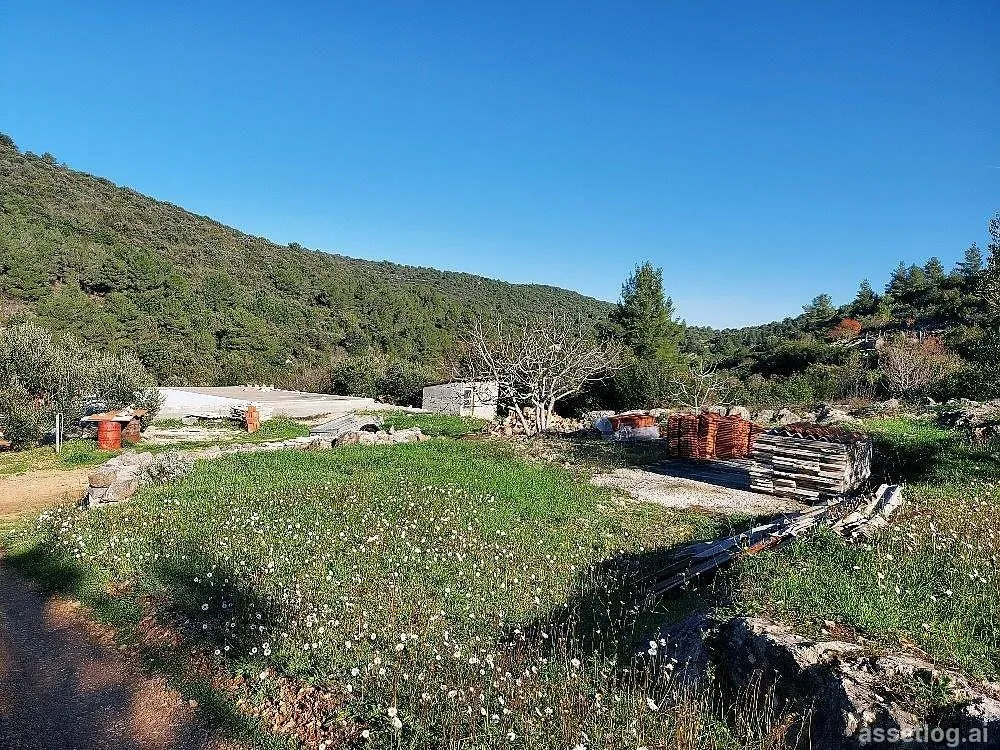 Asset photo 1
