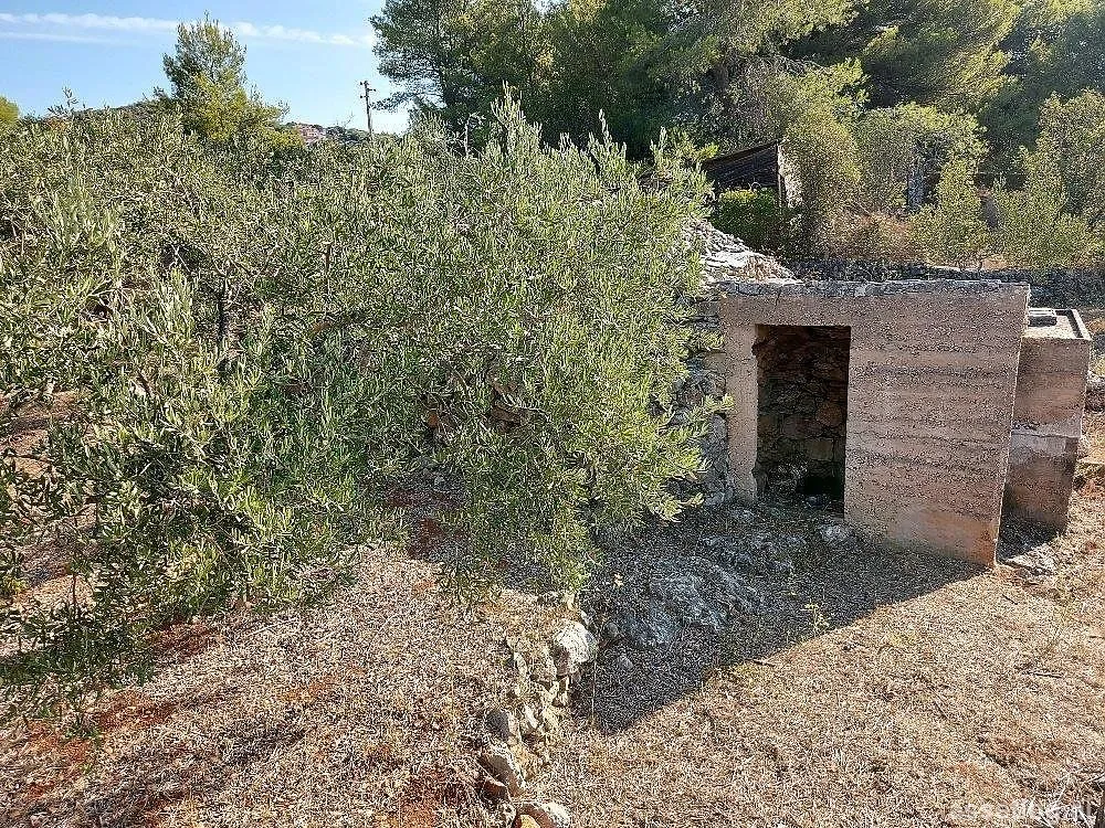 Asset photo 1