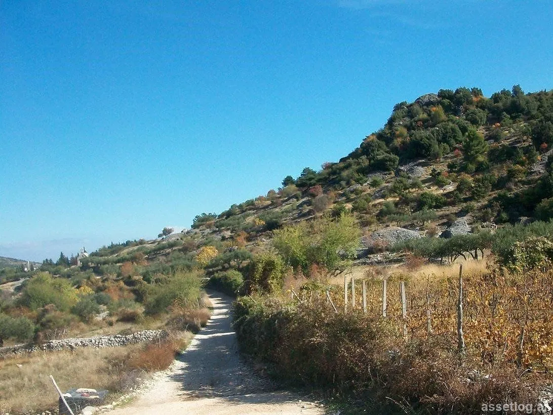Asset photo 1