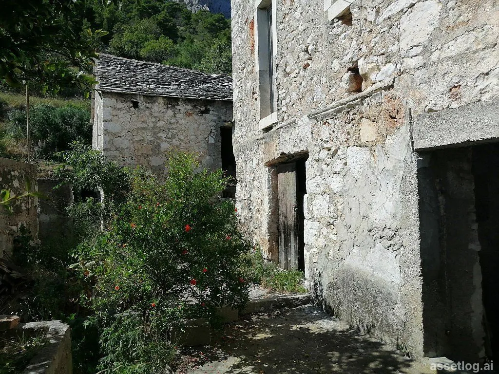 Asset photo 1