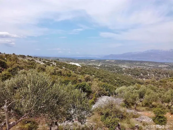 Brač, agricultural land for sale