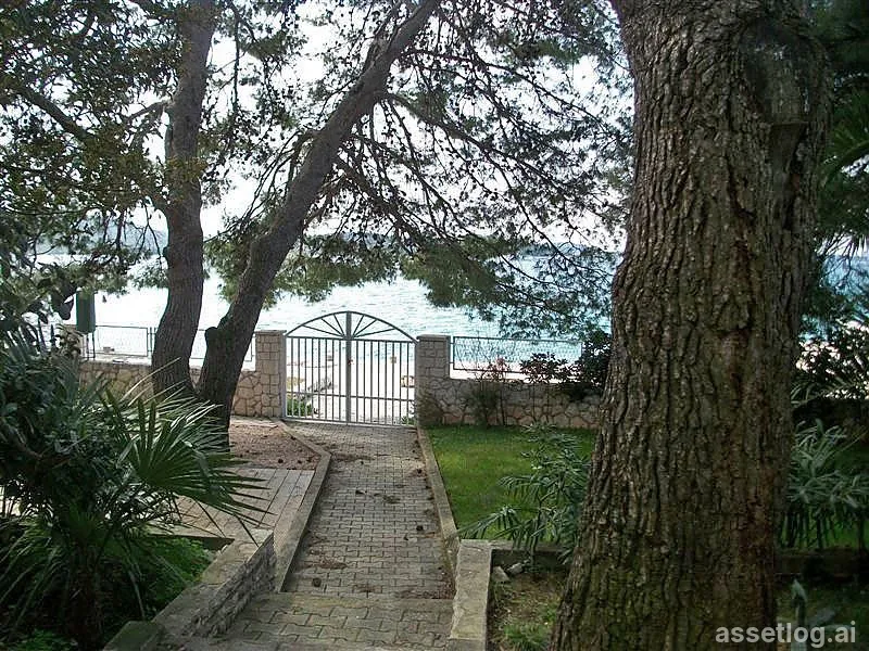 Asset photo 1