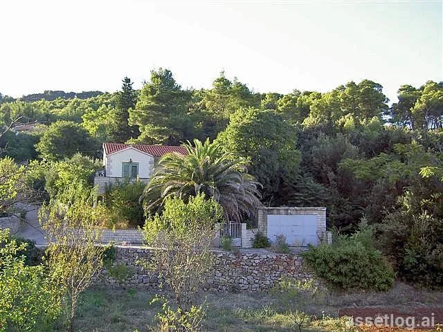 Asset photo 1