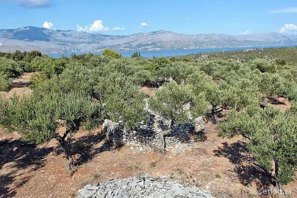 Brač, agricultural land for sale