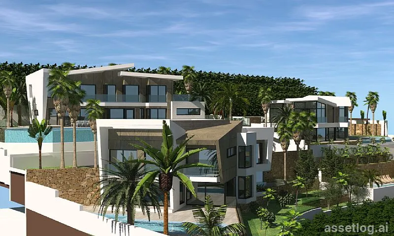Asset photo 1