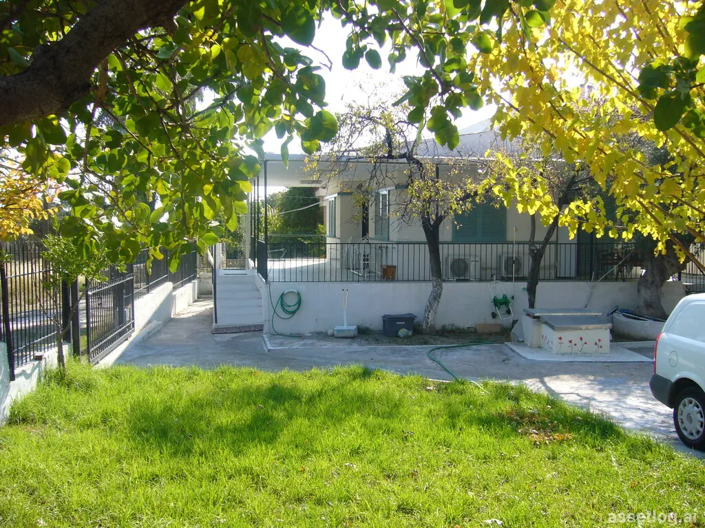 Asset photo 1