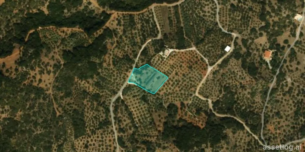 Asset photo 1