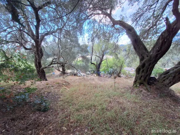 Land 602 m² in Corfu