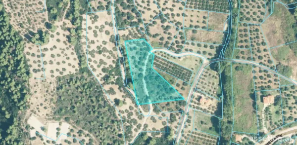 Pozemek 6158 m² v Sithonii, Chalkidiki