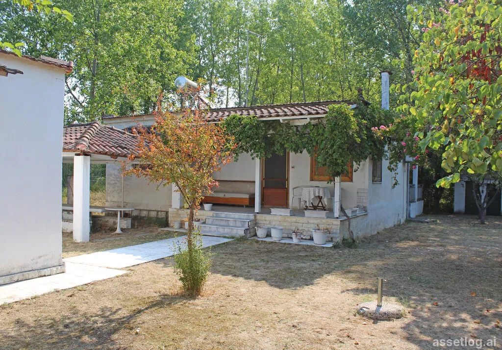 Asset photo 1