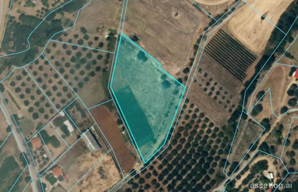Pozemek 5498 m² v Athosu, Chalkidiki
