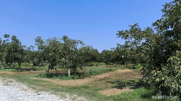 Pozemek 11300 m² na Olympic Coast