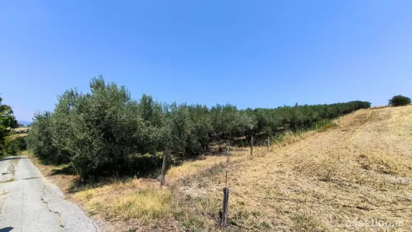 Pozemek 4700 m² na olympijském pobřeží