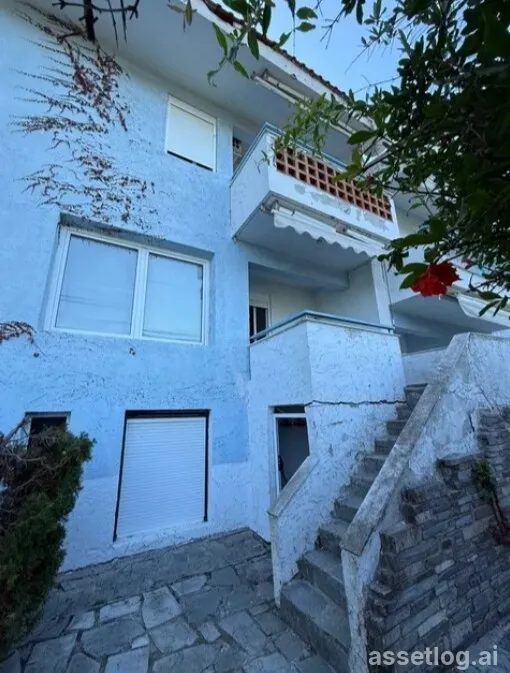 Asset photo 1