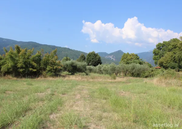 Land 5755 m² on the Olympic Coast