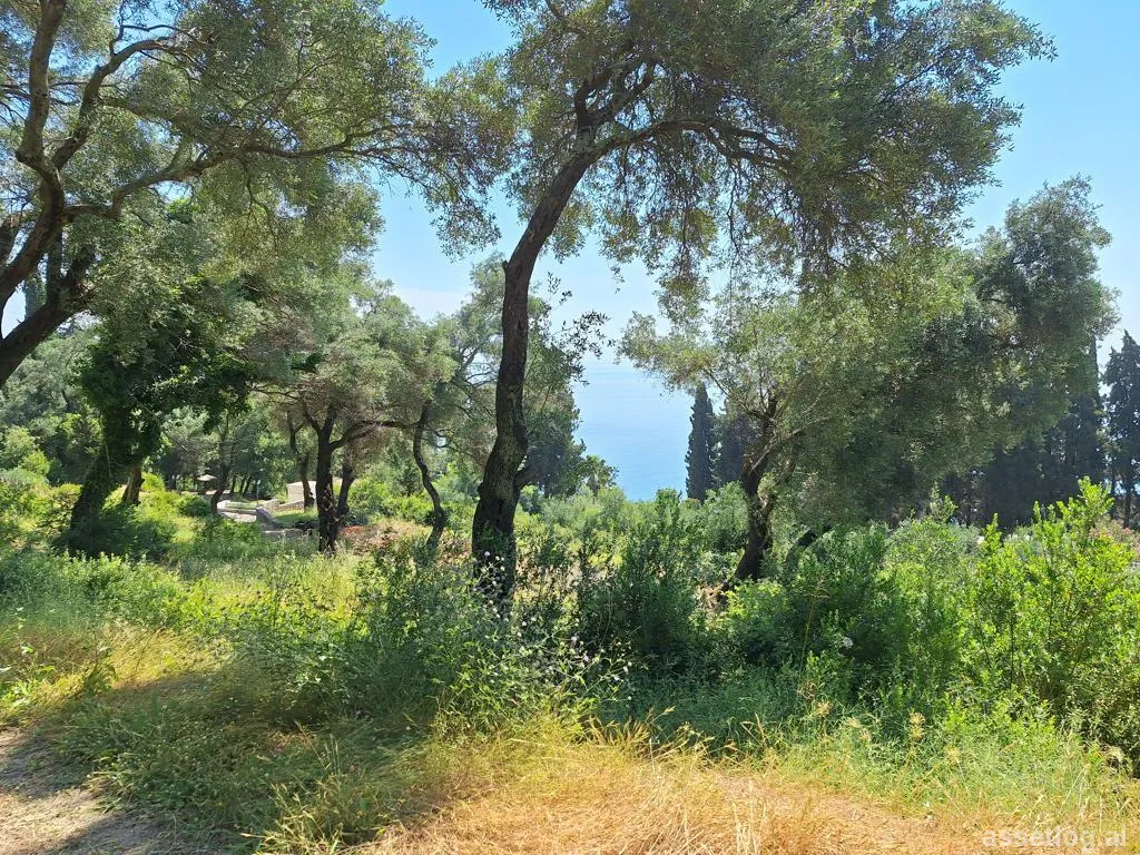Asset photo 1
