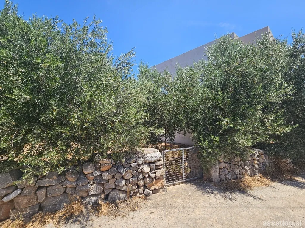 Asset photo 1