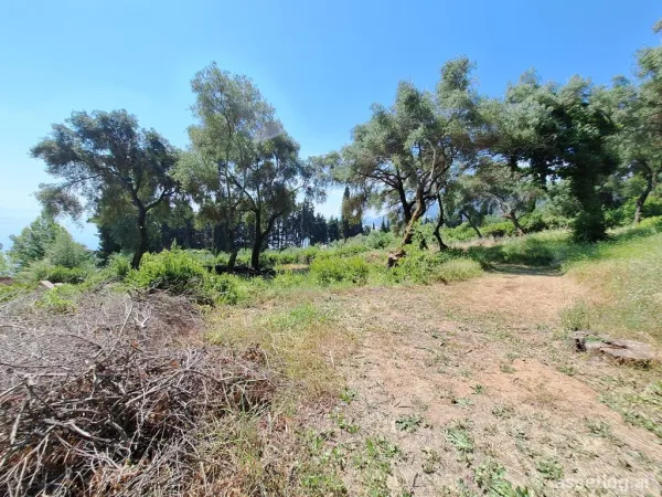 Land 7000 m² in Corfu