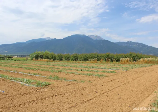 Pozemek 10000 m² na Olympic Coast