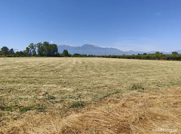 Land 5968 m² on the Olympic Coast