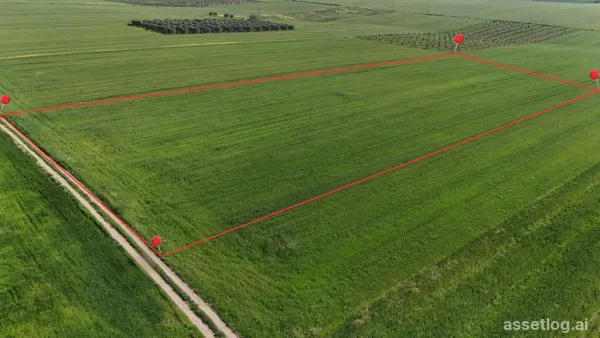 Land 14600 m² in Chalkidiki