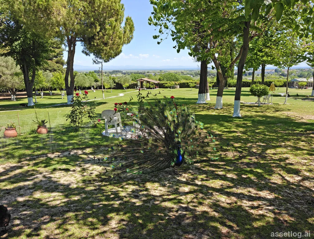 Asset photo 1