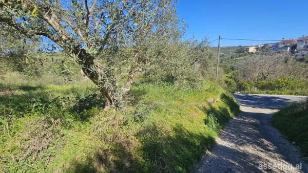 Land 1255 m² in Crete