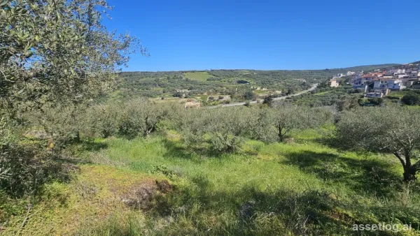 Land 1188 m² in Crete