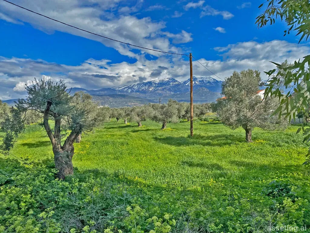 Asset photo 1