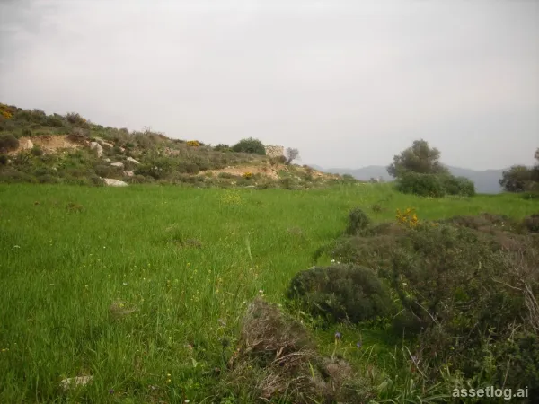 Land 51985 m² in Crete
