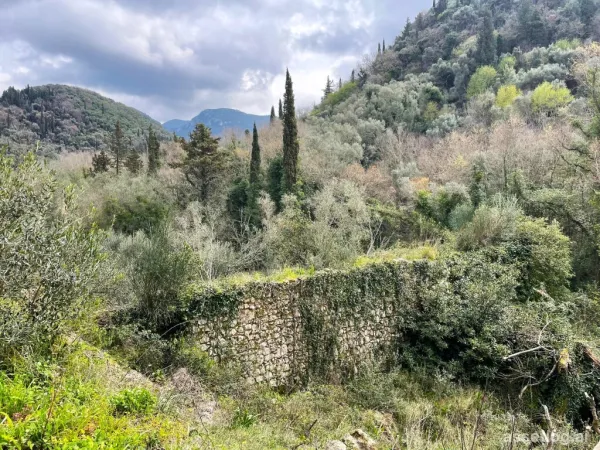 Land 91445 m² in Corfu